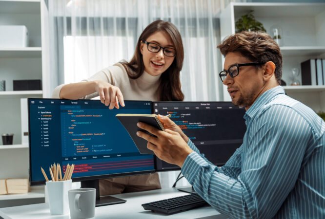 Professional Diploma in IT Programming & Software Development